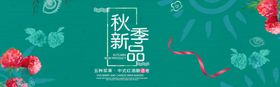 秋季新品
