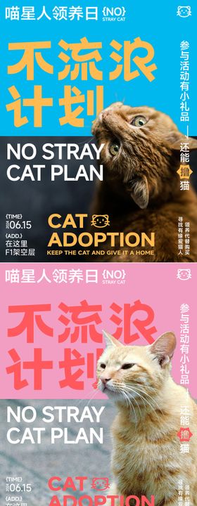 流浪宠物猫咪领养活动系列海报