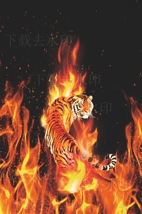 大牌男装老虎