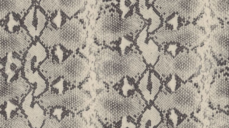 编号：62910410031649214906【酷图网】源文件下载-蛇皮纹