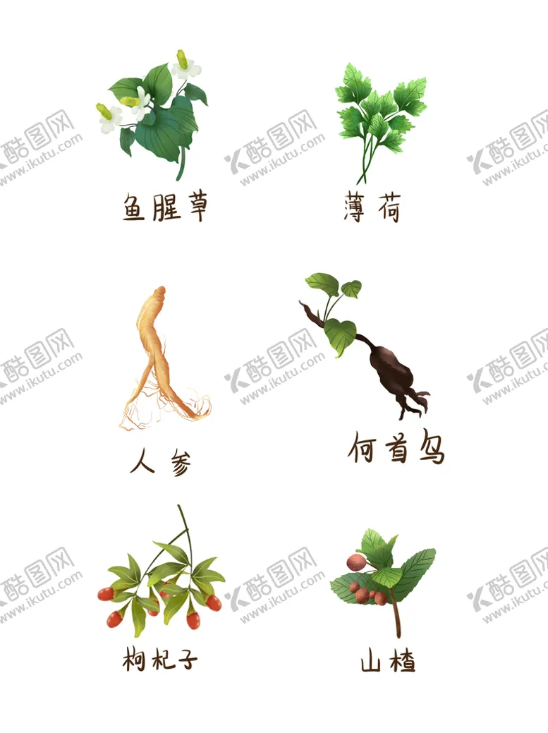 编号：31278911211013343610【酷图网】源文件下载-中药草本