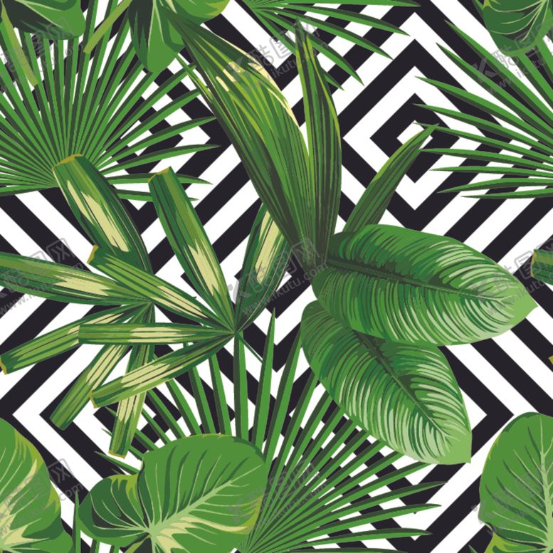 编号：82601010100620282469【酷图网】源文件下载-热带植物