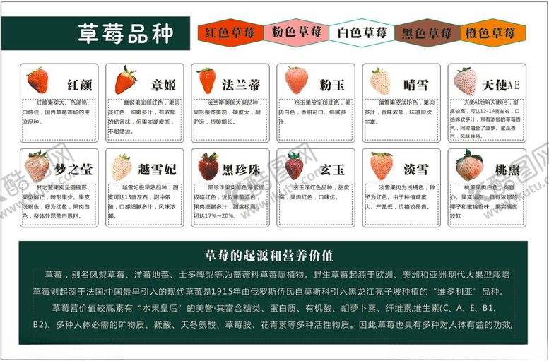 编号：18768004062237291889【酷图网】源文件下载-小番茄分类