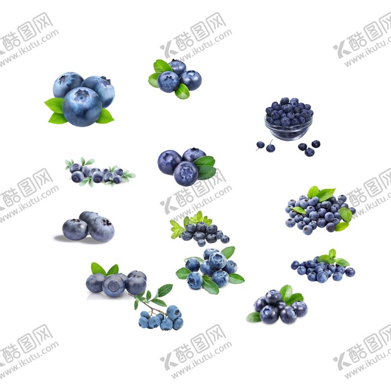 编号：41806909290659599486【酷图网】源文件下载-蓝莓