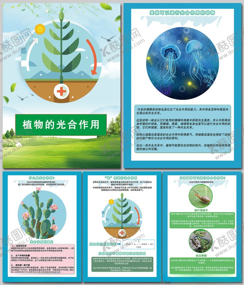 编号：14546312110138569956【酷图网】源文件下载-植物的光合作用科普知识海报