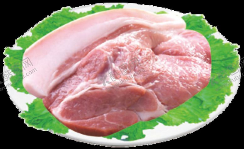 编号：94674111021535427672【酷图网】源文件下载-前腿肉