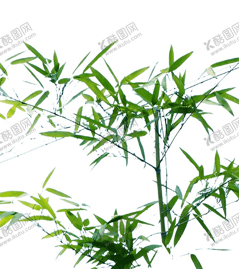 编号：43966810171222489728【酷图网】源文件下载-绿色相框