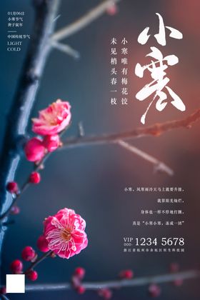 唯美插画小寒节气海报