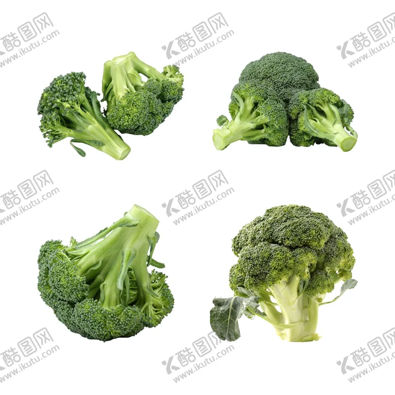 编号：85092409211115071082【酷图网】源文件下载-西蓝花