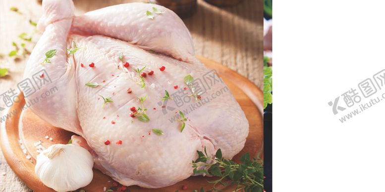 编号：43564009290658578559【酷图网】源文件下载-鲜土鸡