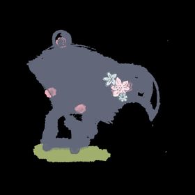 狐狸