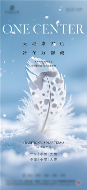 立冬小雪冬至大雪小寒大寒海报