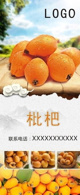 枇杷