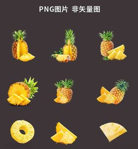 菠萝素材