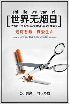 世界无烟日禁止吸宣传栏吸有害珍爱生命