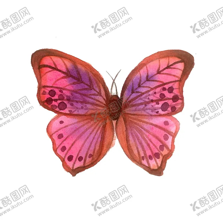 编号：78061402090102277337【酷图网】源文件下载-翅膀蝴蝶彩色桃红橘色