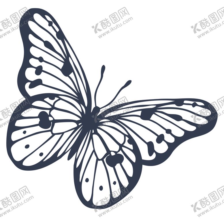 编号：29657209091217566316【酷图网】源文件下载-蝴蝶素材