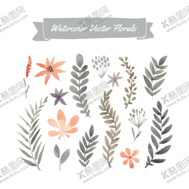 编号：66770509211402147808【酷图网】源文件下载-森系水彩手绘插画花鸟花卉花草叶
