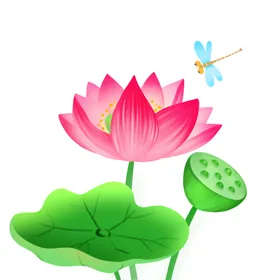 荷花素材立夏清廉海报