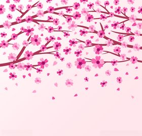 樱花