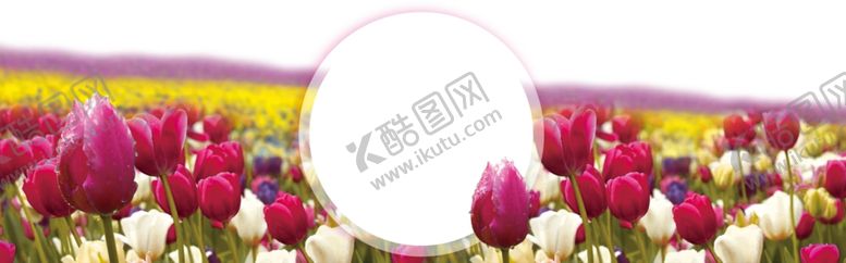 编号：96960709251048555574【酷图网】源文件下载-红色背景