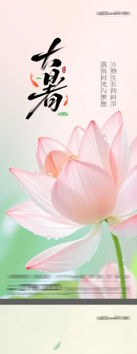 大暑海报