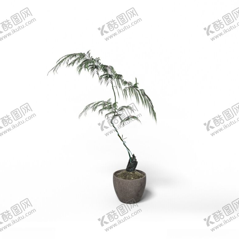 编号：65022602170413378410【酷图网】源文件下载-C4D模型绿色植物