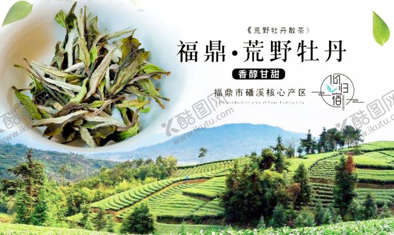 编号：37768406161933185368【酷图网】源文件下载-福鼎白茶
