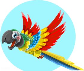 鹦鹉插图