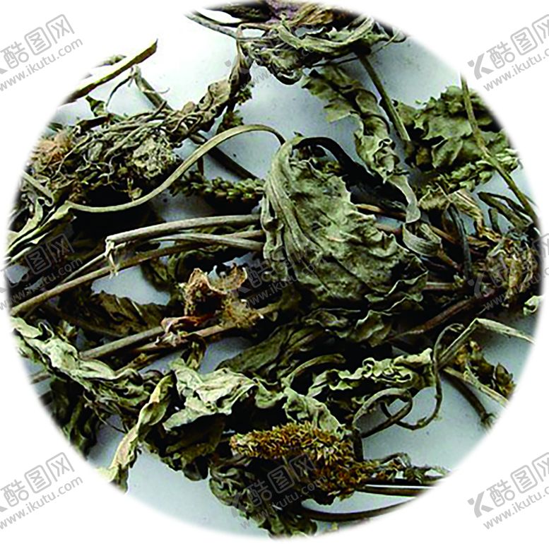 编号：59556306290032375489【酷图网】源文件下载-绿色植物