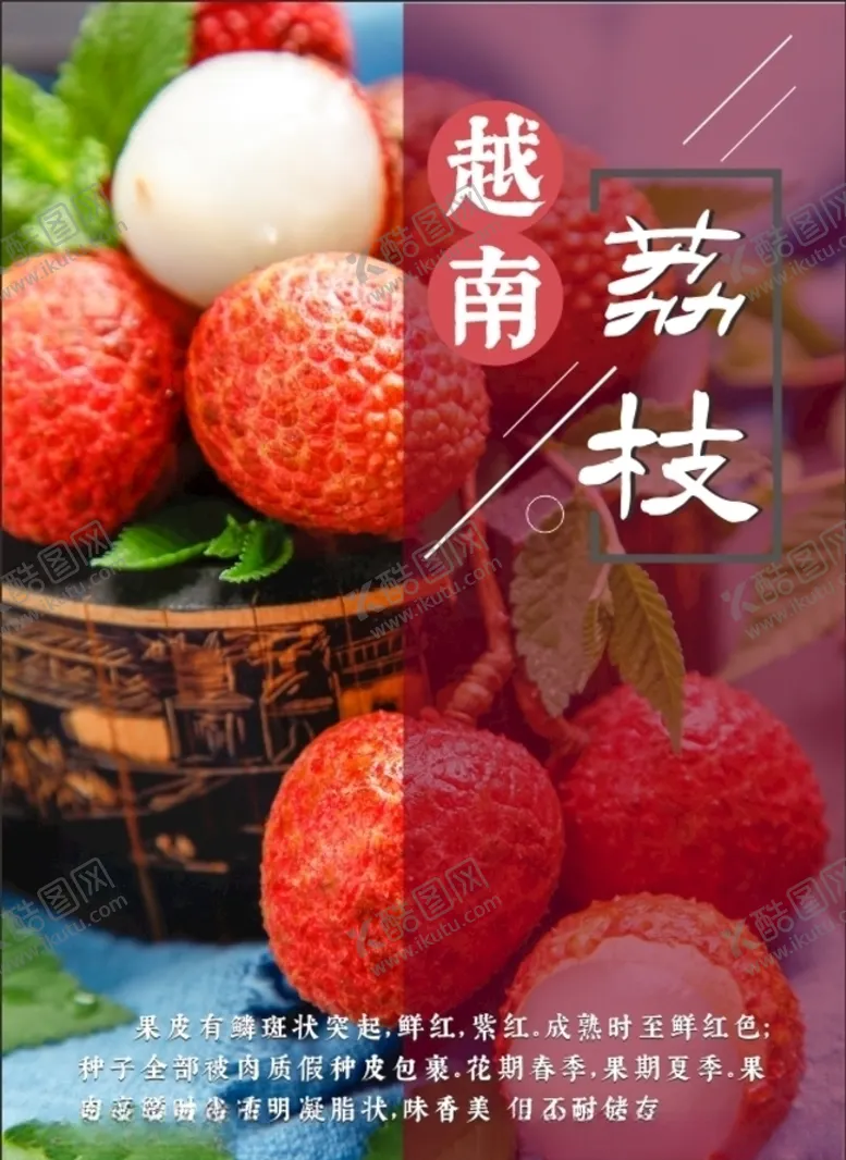 编号：94069605021644039606【酷图网】源文件下载-越南荔枝