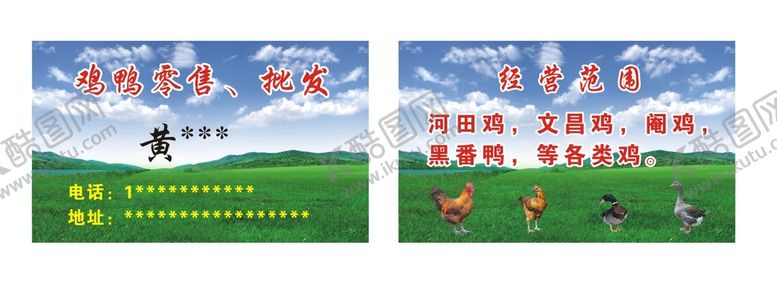 编号：27306301122109053016【酷图网】源文件下载-鸡鸭名片