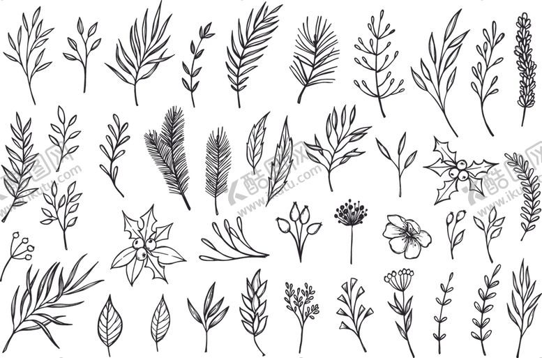 编号：37803404161927598453【酷图网】源文件下载-植物花藤