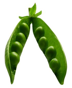 青豆