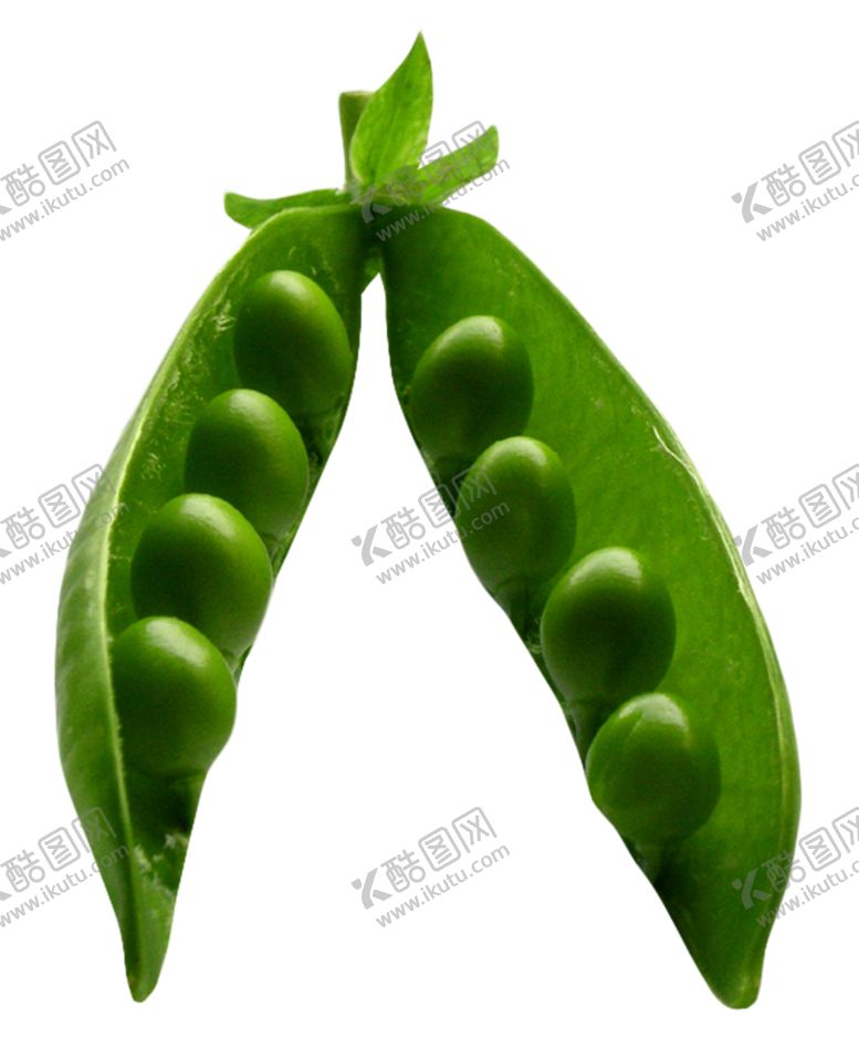编号：57523209230027166120【酷图网】源文件下载-青豆