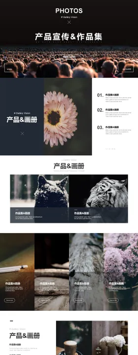 大气商务风产品宣传作品集图文排版