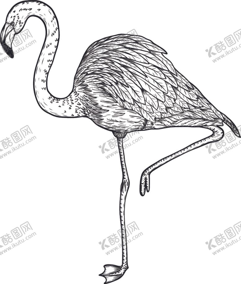 编号：56479010050312458477【酷图网】源文件下载-纯色绘画植物花朵