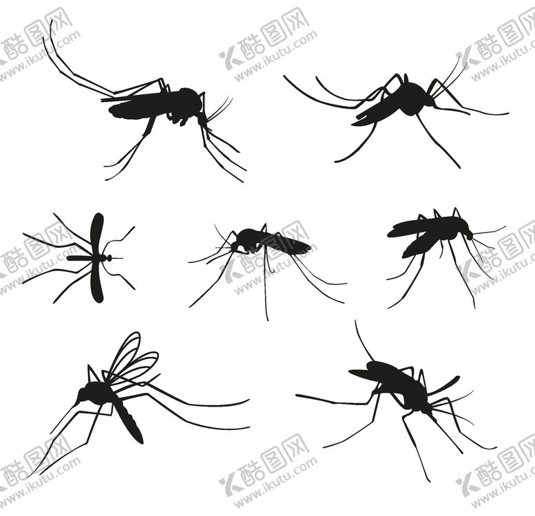 编号：61630605160428137701【酷图网】源文件下载-蚊子剪影