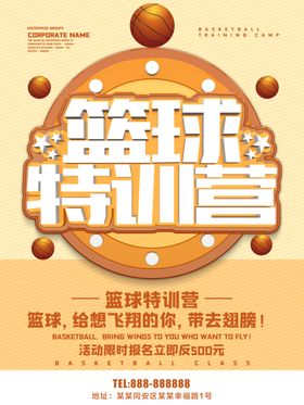 篮球特训营 