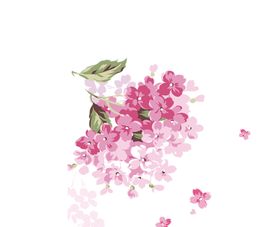 樱花创意装饰图案