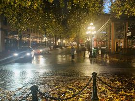 温哥华的雨夜