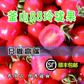 编号：09752409250506595310【酷图网】源文件下载-玲珑小番茄