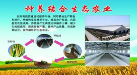 种养结合生态农业