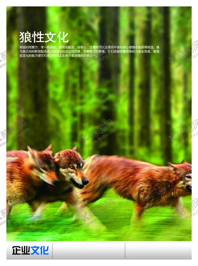 编号：85460906291326406452【酷图网】源文件下载-企业文化展板