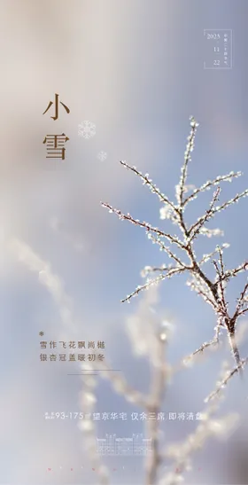 小雪节气海报质感花房地产