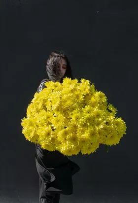 菊花朵卉自然景观摄影