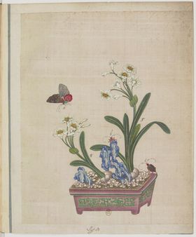 盆景花鸟