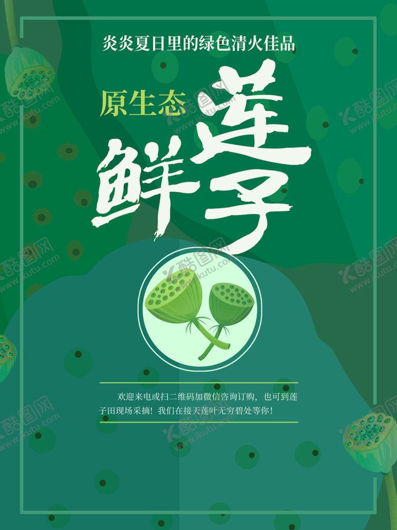 编号：21365409142130434258【酷图网】源文件下载-新鲜莲子