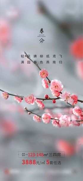 春分地产