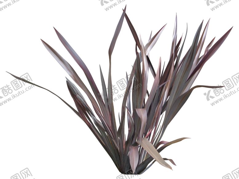 编号：74368810140028433525【酷图网】源文件下载-免扣花卉素材